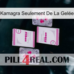Kamagra Seulement De La Gelée 33